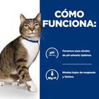 Hill's Prescription Diet Urinary Care s/d Pollo pienso para gatos, , large image number null